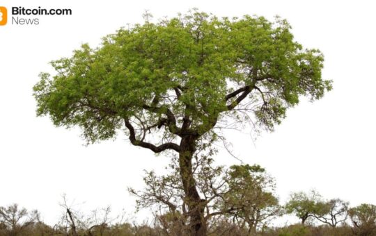 Digital Asset Solutions Company Completes Australia'S First Preferred Government Design Investment