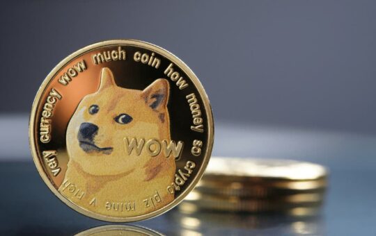 Dogcoin (Dogge) Vision Will Lose Retail Monies