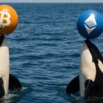 Long denim wallets and premium wallets move money before dinner parties.