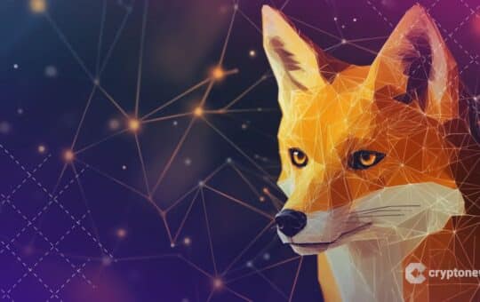 Metamask Enters Prediction Markets With Polymarket Integration