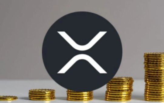 New Xrp And Soltets With Rex To Launch Tomorrow