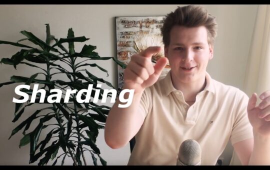 Programmer Explains Ethereum Sharding Scale And Performance Fixes