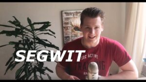 Programmer Explains Segregated Witness In Bitcoin And Litecoin