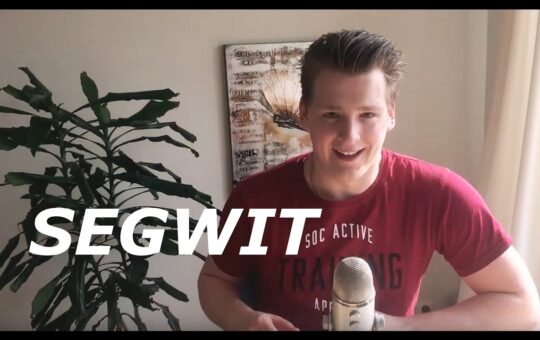 Programmer Explains Segregated Witness In Bitcoin And Litecoin