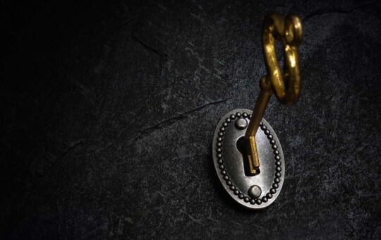 Sol, Aaxax, And Doge Face $790M Supply Copy