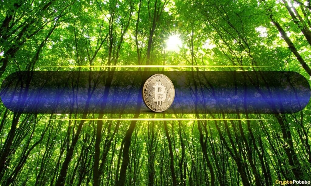 This Year Has Been A Drag But Btc Is Still Up From A 400% Cycle Low.