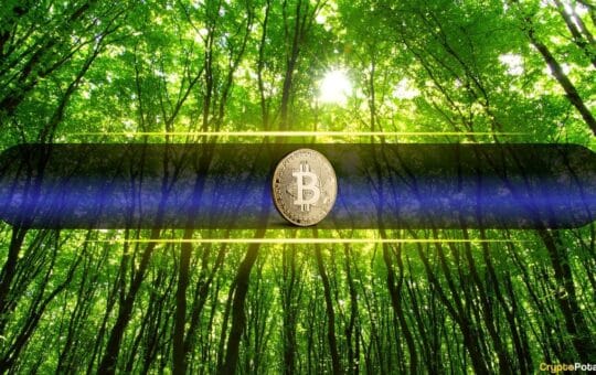 This Year Has Been A Drag But Btc Is Still Up From A 400% Cycle Low.