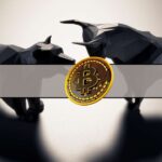 US and Canadian Digital Asset Project Companies See Median Share Prices Up 43% in 2025