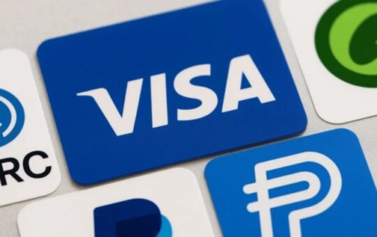 Visa'S Investment-Focused Advisory Team To Guide Banks And Financiers On Digital Assets