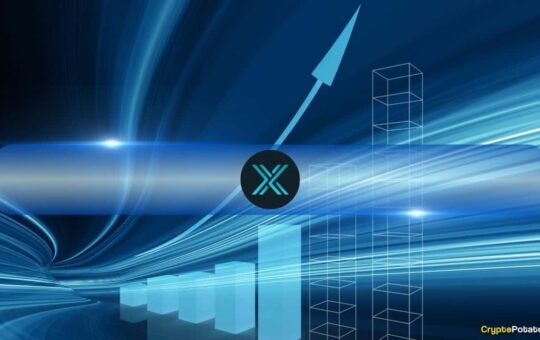 Volatility X And Zkevm Nft Sales Growth Up 55% In Q4 2024, But Market Share Declines