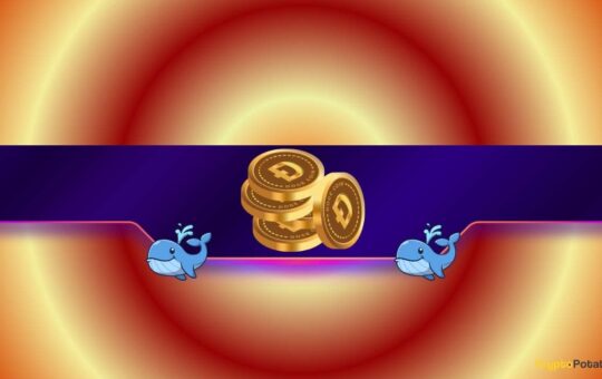 Will Dougcoin Start A Bear Market?