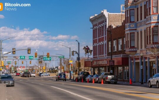 Wyoming Blodchantin - Injured Bank Fast 24/7 B2B Payment Platform Away