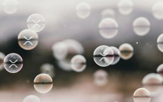 Xrp Etfs Will See Steady Income As Total Assets Reach $1.2B