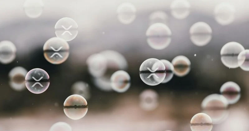 Xrp Etfs Will See Steady Income As Total Assets Reach $1.2B