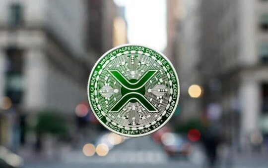 Xrp Etfs Will Win About $915 Million After New Transactions