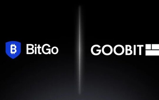 B  Birgo Partners With