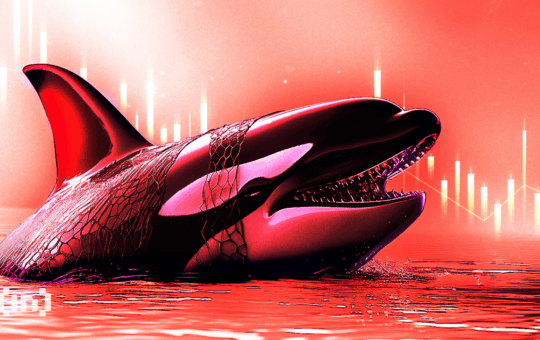 Bitcoin Mempool And Transaction Fees. Source: Willy Woo