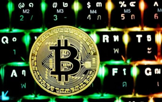 Bitcoin Etfs Will Attract $1.2 Billion In Revenue To Start 2026