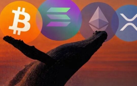Crypto Whale Opens $325M Long Positions In Btc, Eth, Xrp And Sol.