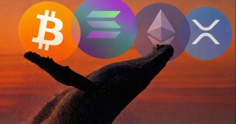 Crypto Whale Opens $325M Long Positions In Btc, Eth, Xrp And Sol.