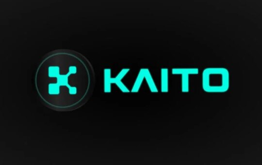 Kaito Token And Nft Prices Fell When X Blocked Infofi Apps To Fight Spam