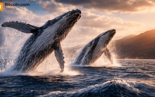 Some Of Bitcoin'S Oldest Wallets Drive Dormant Spending Patterns In 2025