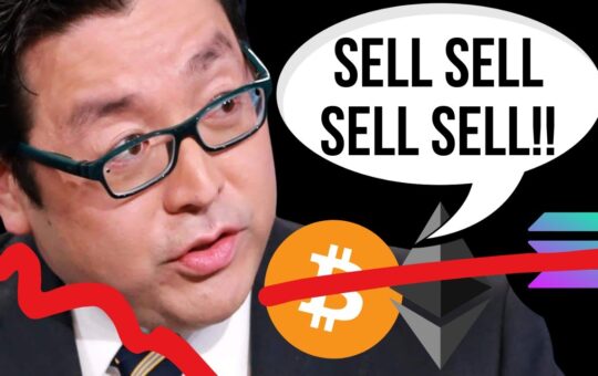 Tom Lee Just Secretly Told Insiders To Sell Bitcoin Wtf