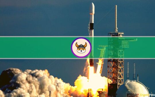 Whales Can'T Get Enough Meme Coins When Floki Explodes 950%