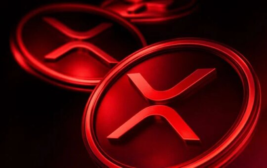 Xrp Etfs Will Post The First Day Of Issuance After The November Launch