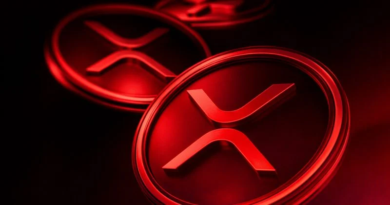 Xrp Etfs Will Post The First Day Of Issuance After The November Launch