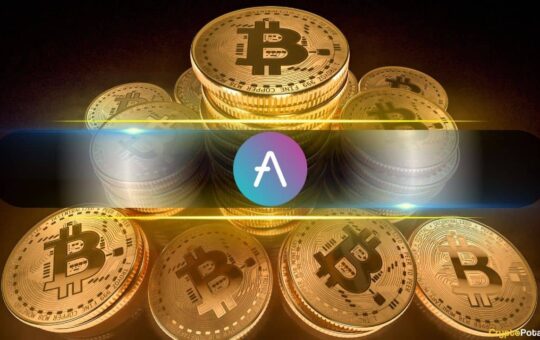 According To Bitwise, How Ave Helped To End The Crypto Winter