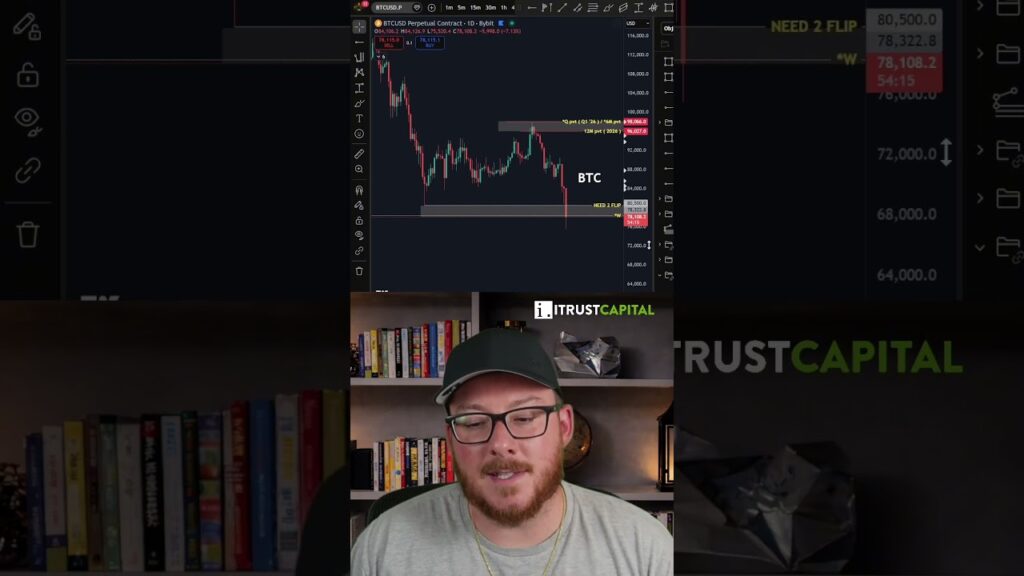 Bitcoin Crash Explained
