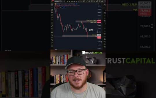 Bitcoin Crash Explained