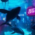 Bestaltcoins_Optimized