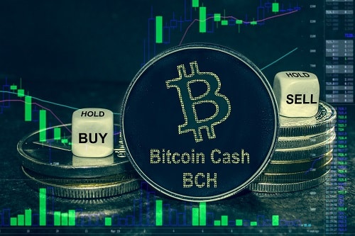 Despite The Broader Crypto Market Collapse, Bitcoin Cash Will Hold Around $500: 2026 Outlook