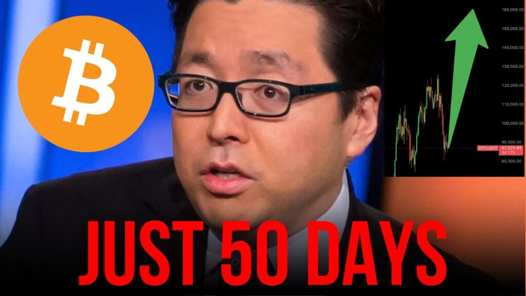 Tom Lee Bitcoin To 200000 In January Realistic Analysis And