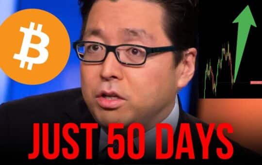 Tom Lee Bitcoin To 200000 In January Realistic Analysis And