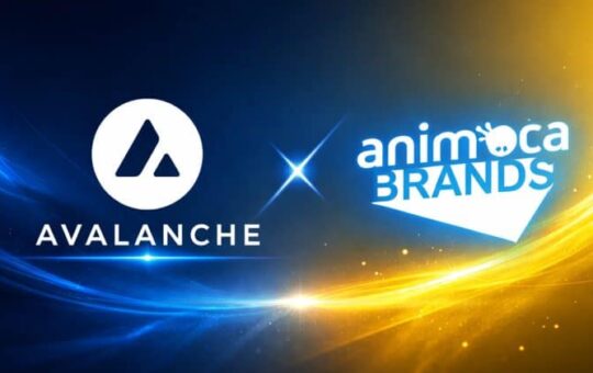 Avalanche Gains Animoca Brands Backing In Push Across Asia And The Middle East