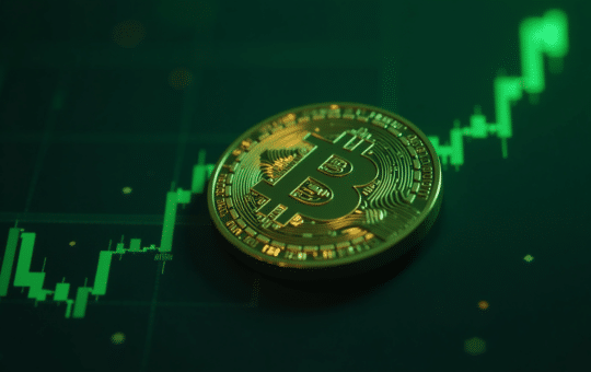 Bitcoin Price Rebounds