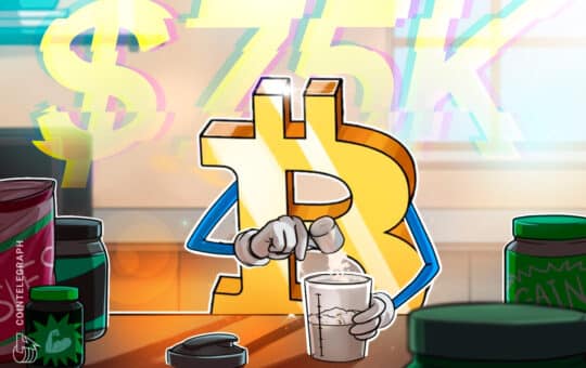 Bitcoin Traders See Their Breakout Opportunity As Btc Eyes $75,000.