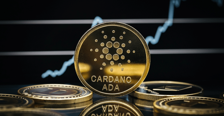 Spar Supermarket Enables Cardano Payments In 137 Swiss Stores