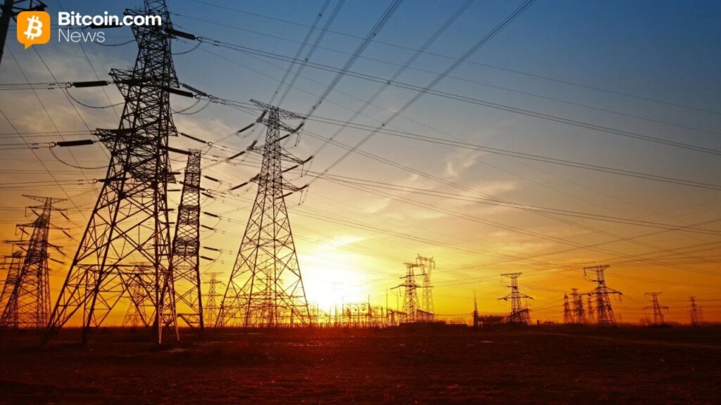 Exceptionally Safe: Beatles Founder Nima Benny On Why Falls Aren'T Dangerous