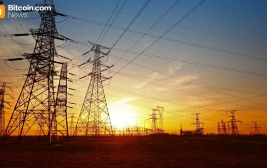 Exceptionally Safe: Beatles Founder Nima Benny On Why Falls Aren'T Dangerous