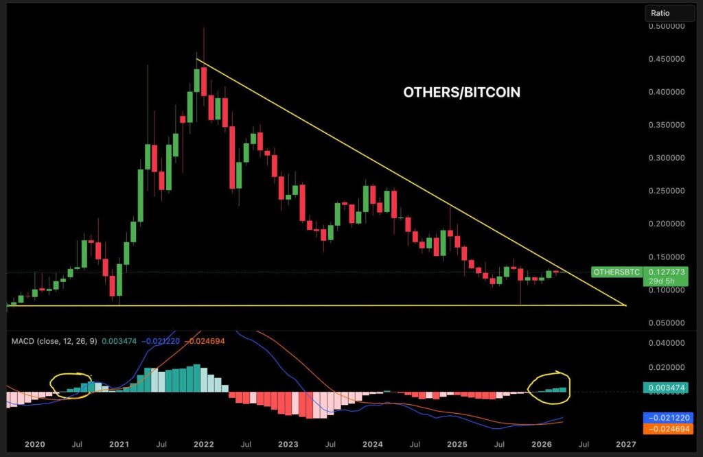 Altcoin Market Value
