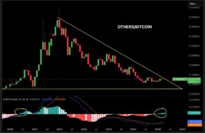 Altcoin Market Value
