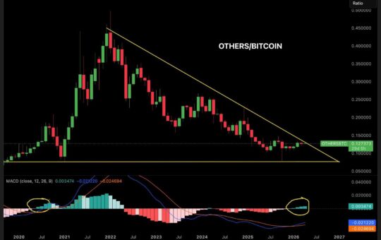 Altcoin Market Value