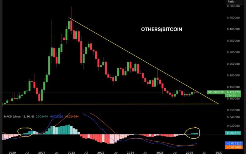 Altcoin Market Value