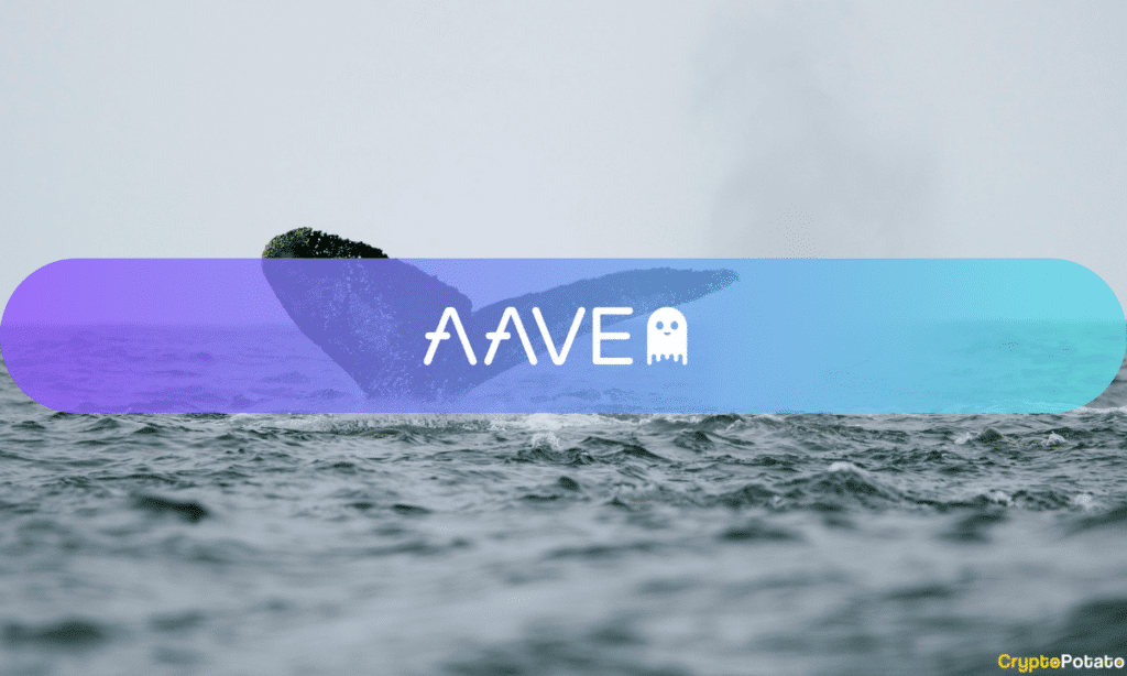 Whales Circle Aave Amid Confusion: Is This Another Market Bottom Sign?