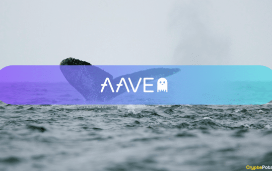 Whales Circle Aave Amid Confusion: Is This Another Market Bottom Sign?