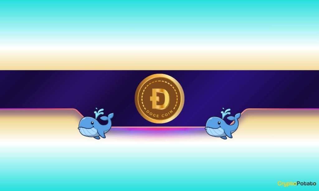 160,000,000 Doge In 4 Days: Is Dogecoin Ready For More Rally?